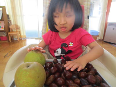 梨はツルツル、栗はチクチクしたよ。