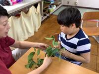 お茶の葉を観察している様子です。