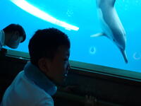 うみたまごにて