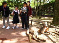 サファリパークにて