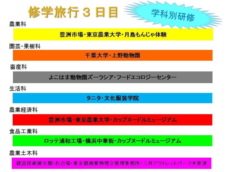 学科別研修内容