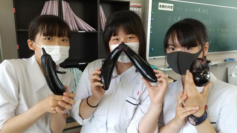 おもしろい形のナス