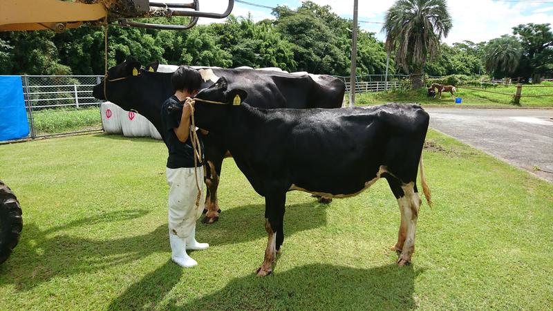 ジャスパーとマリーム（母子）