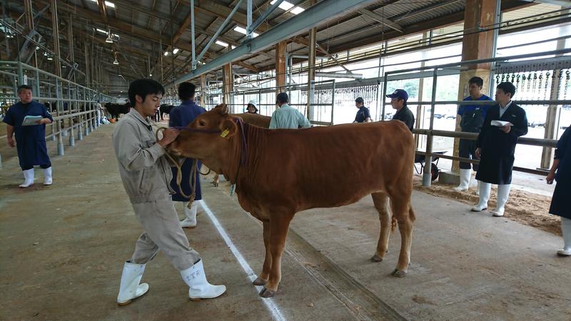 熊農の「ひみ」号