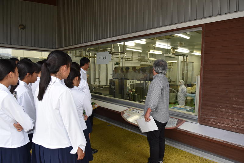 チーズ製造工程の説明