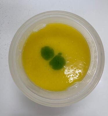 チンゲンサイのスープ（ペースト食）