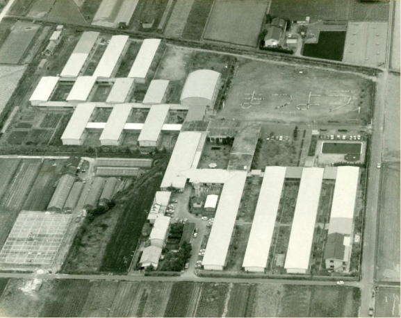 航空写真 【昭和45年】