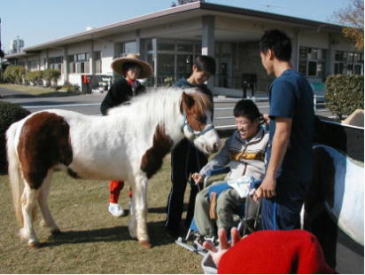 ポニー「ハッピー」 【平成15年】