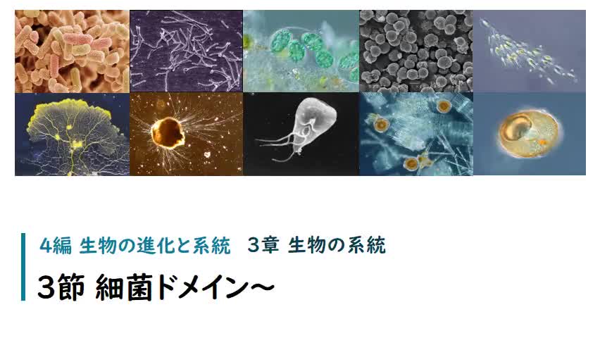 【生物】学習プリントNo.6