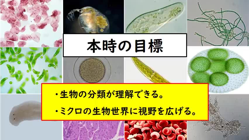 【科学と人間生活】動画②