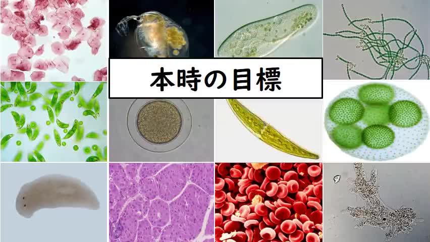 【科学と人間生活】動画①