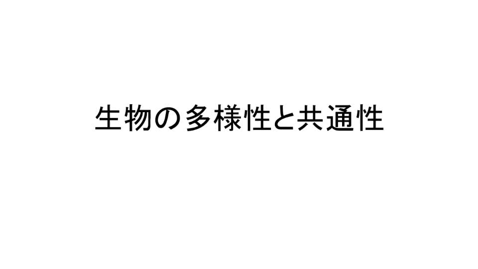 ２年　生物基礎（３時間目）