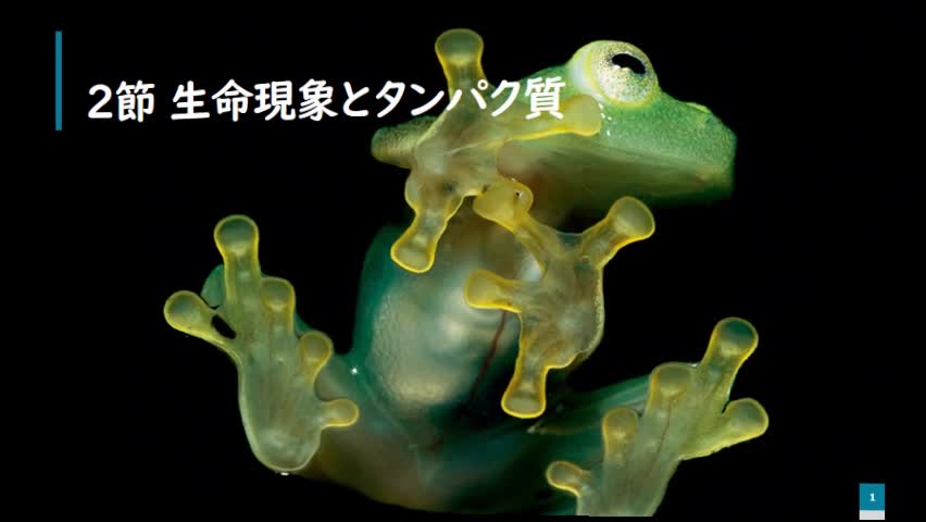 【生物】学習プリントNo.13