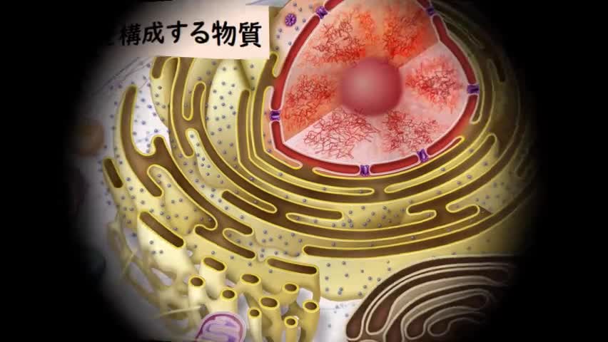 【生物】学習プリントNo.10