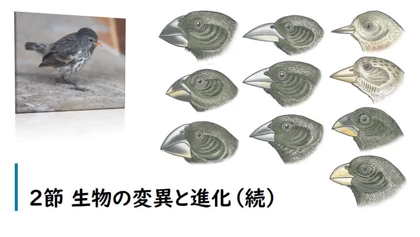 【第５回】３年生物