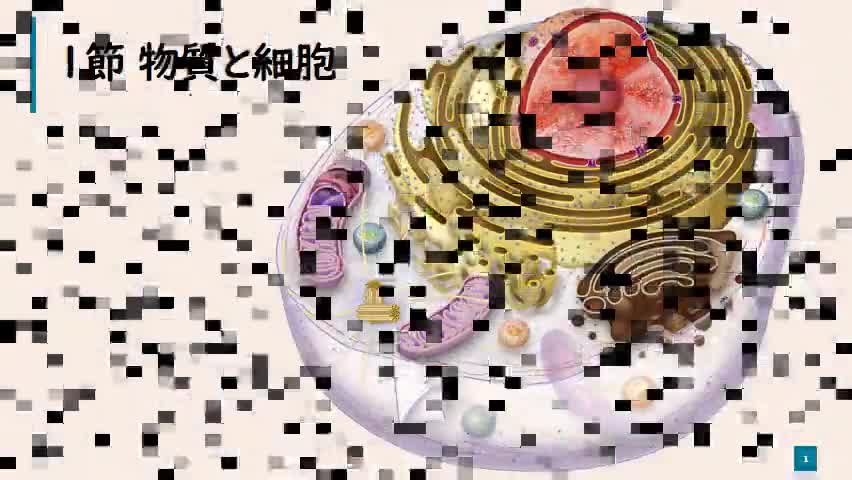 【生物】学習プリントNo.11