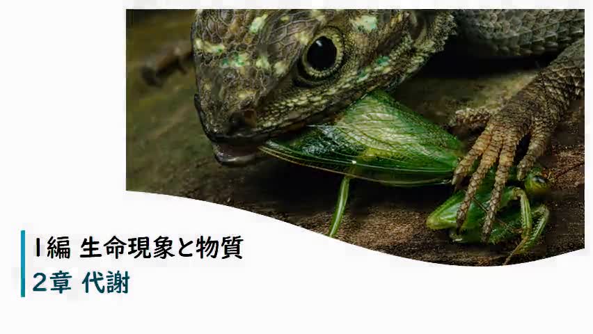 【生物】学習プリントNo.14