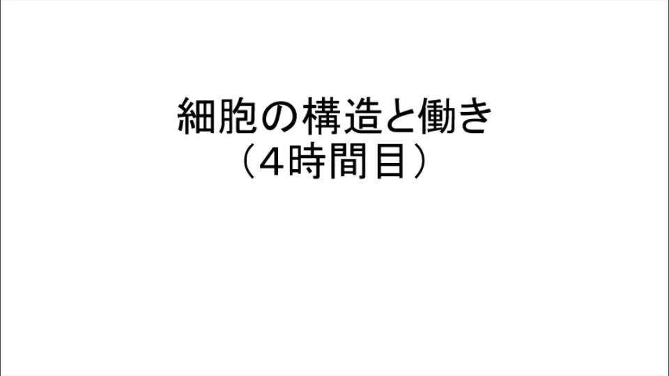 ３年１組　生物理系（４時間目）