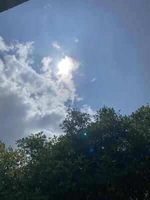 厚い日々が続いていますが、進学組は課外、各部活動もそれぞれの目標に向かって、暑さに負けず頑張っています。