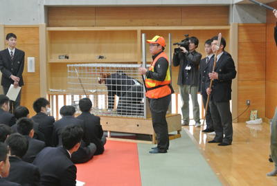 箱罠に捕まった猪役の生徒を猟師免許取得した先生が捕獲しようとしているふりをしています