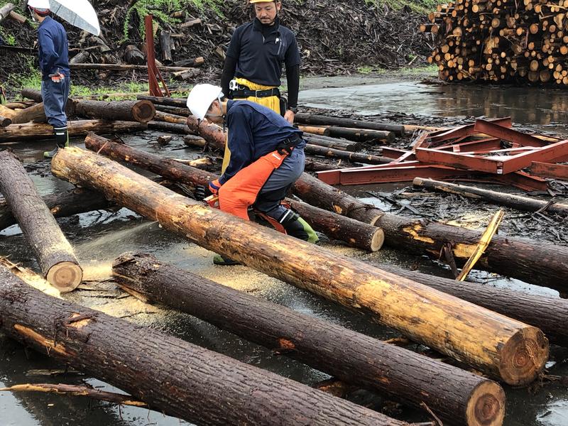 丸太の玉切りに挑戦！