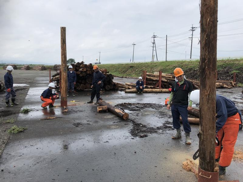 立木にみたてて伐倒練習！