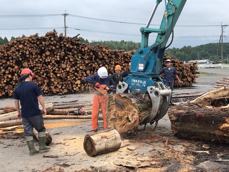 大木も切れます！