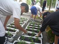 植え付け後は必ず水を！