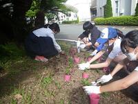 ロータリーの花壇