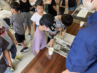 木の組織を顕微鏡で見てみよう！
