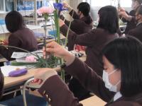 主枝の半分くらい？