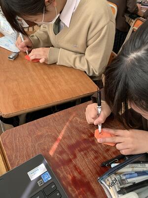 顔むずかしいね