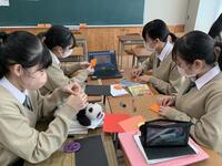 こっちのカボチャ、かわいい！