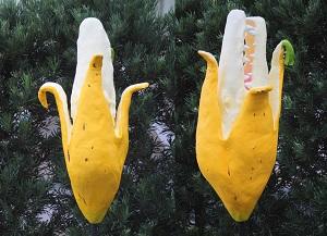 令和元年度県高等学校美術展:熊本市現代美術館賞[特別賞]