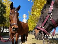 右：M・ワグナー