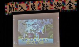 岱志高校職員紹介