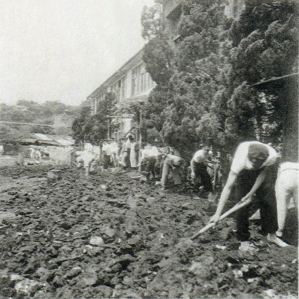 排土作業をする玉高生