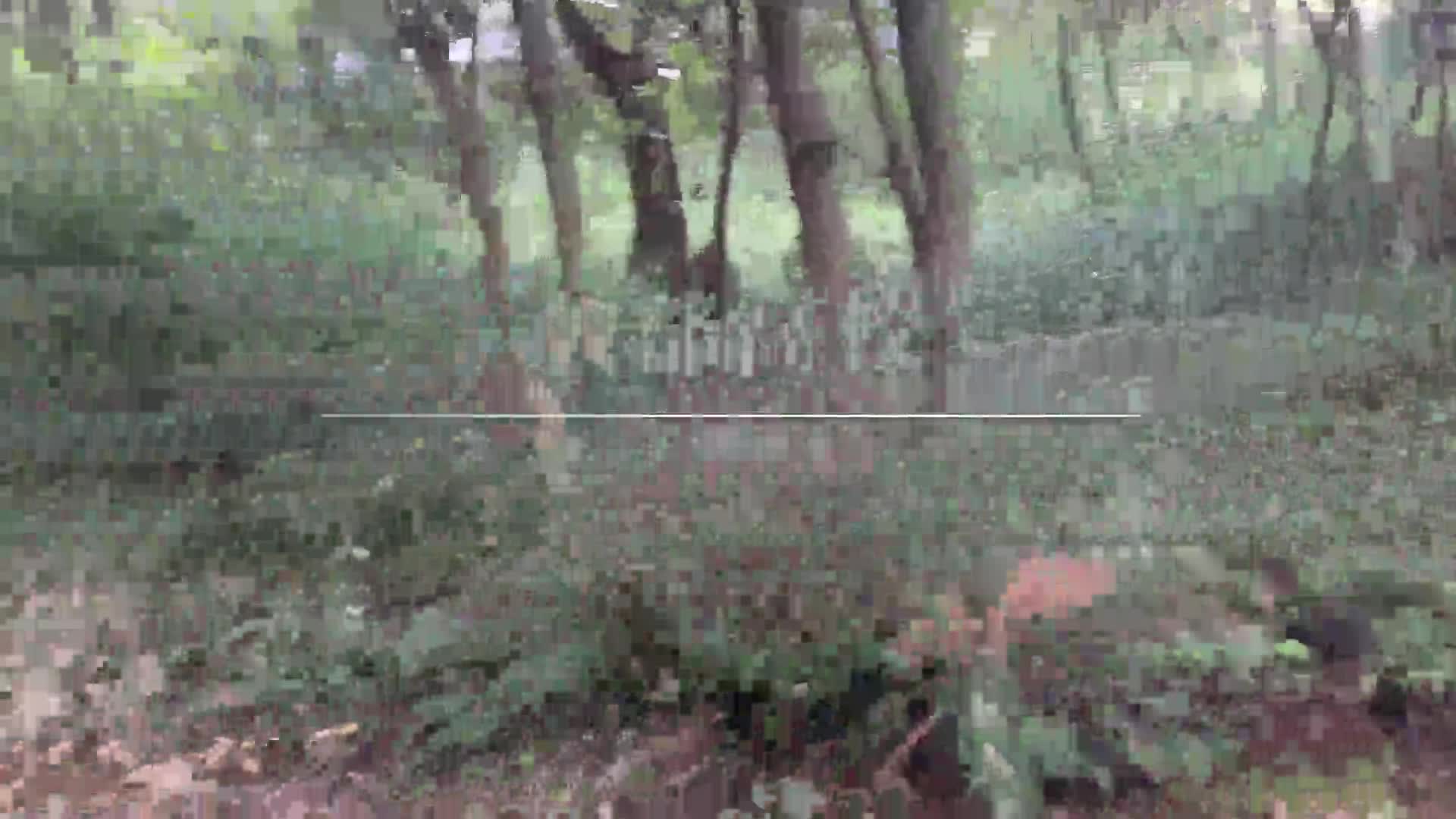 林業科学科　紹介