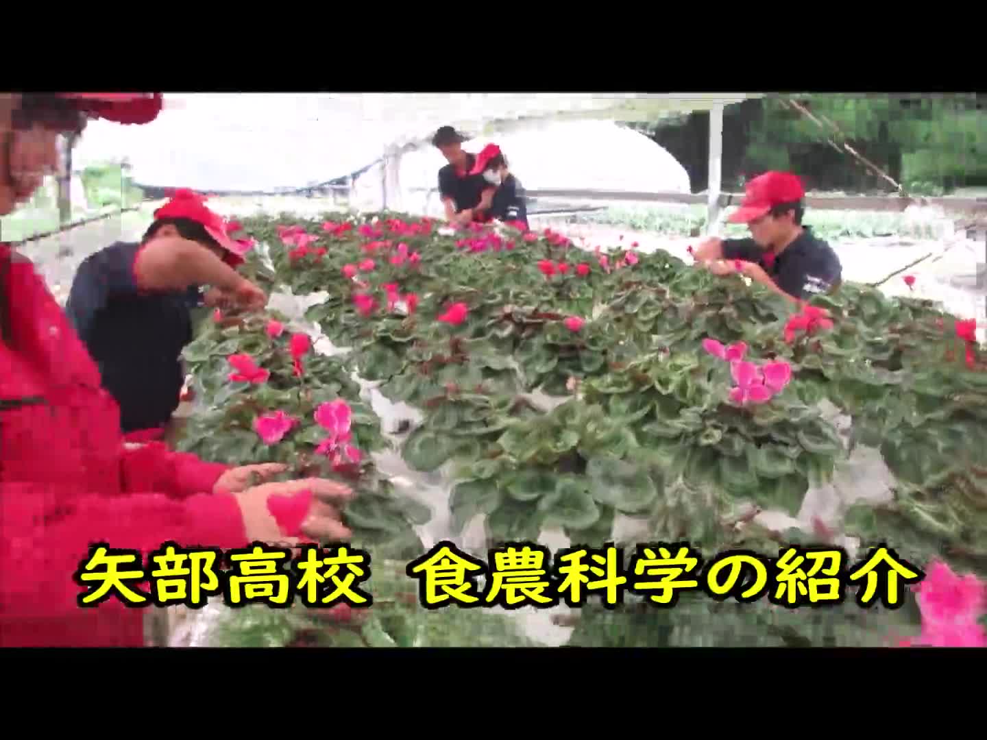 食農科学科　紹介