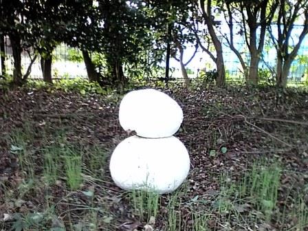 オニフスベ雪だるま