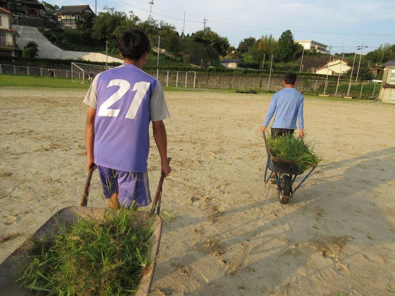 取った草を運びます