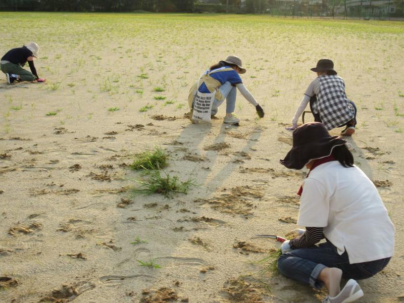 おつかれさまでした！