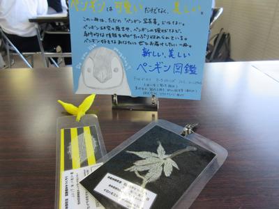 ＰＯＰとしおりはこんな感じです。