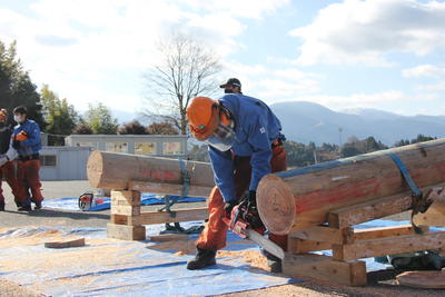 丸太合せ輪切り