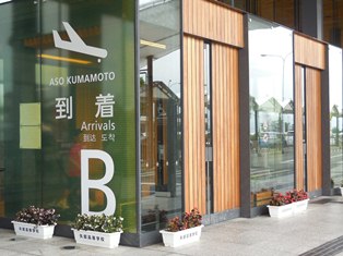 ベゴニアのプランター