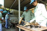 ヤマメの塩焼き