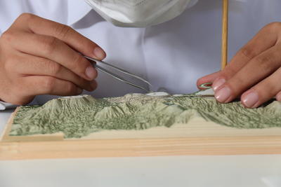 山らしくなっています