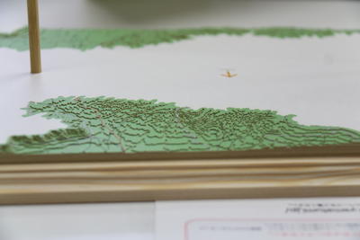 少しずつ高さを増していき･･･