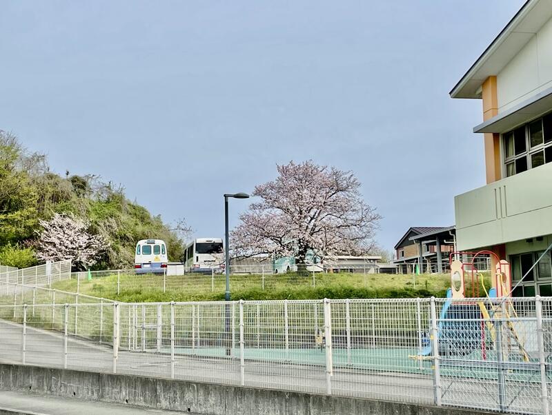 今年度もよろしくお願いします！