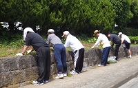 玄関横植え込み